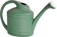 (image for) Southern Patio WC8108FE Watering Can, 2 gal Can, Resin, Fern