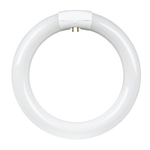 (image for) Feit Electric FC8T9/CW Fluorescent Bulb, 22 W, T9 Lamp, G10Q Lamp Base, 4100 K Color Temp, Cool White Light