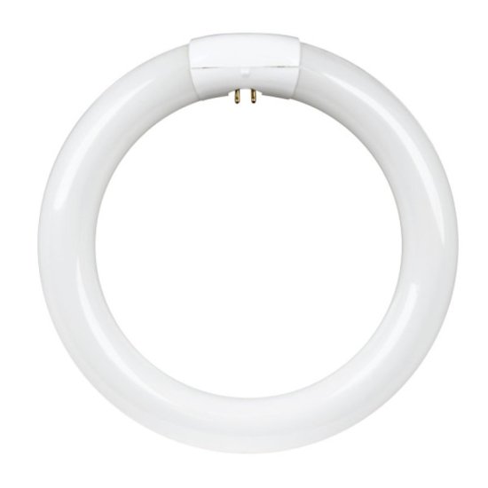 (image for) Feit Electric FC8T9/CW Fluorescent Bulb, 22 W, T9 Lamp, G10Q Lamp Base, 4100 K Color Temp, Cool White Light