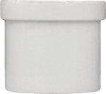 (image for)  Pvc Fittings - Plugs