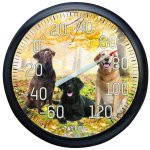 (image for) Thermometers