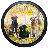 (image for) Taylor 6703N Labrador Thermometer, 13-1/4 in Display, -60 to 120 deg F