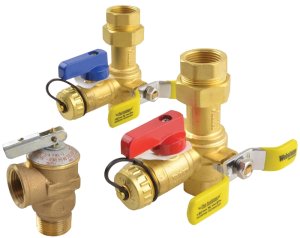 (image for) Richmond 0960617 Tankless Service Valve Kit, Brass